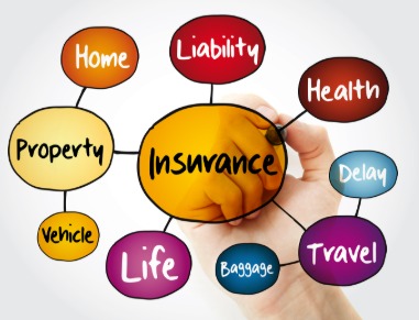 Insurance Industry Client